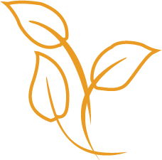 Leaf sketch